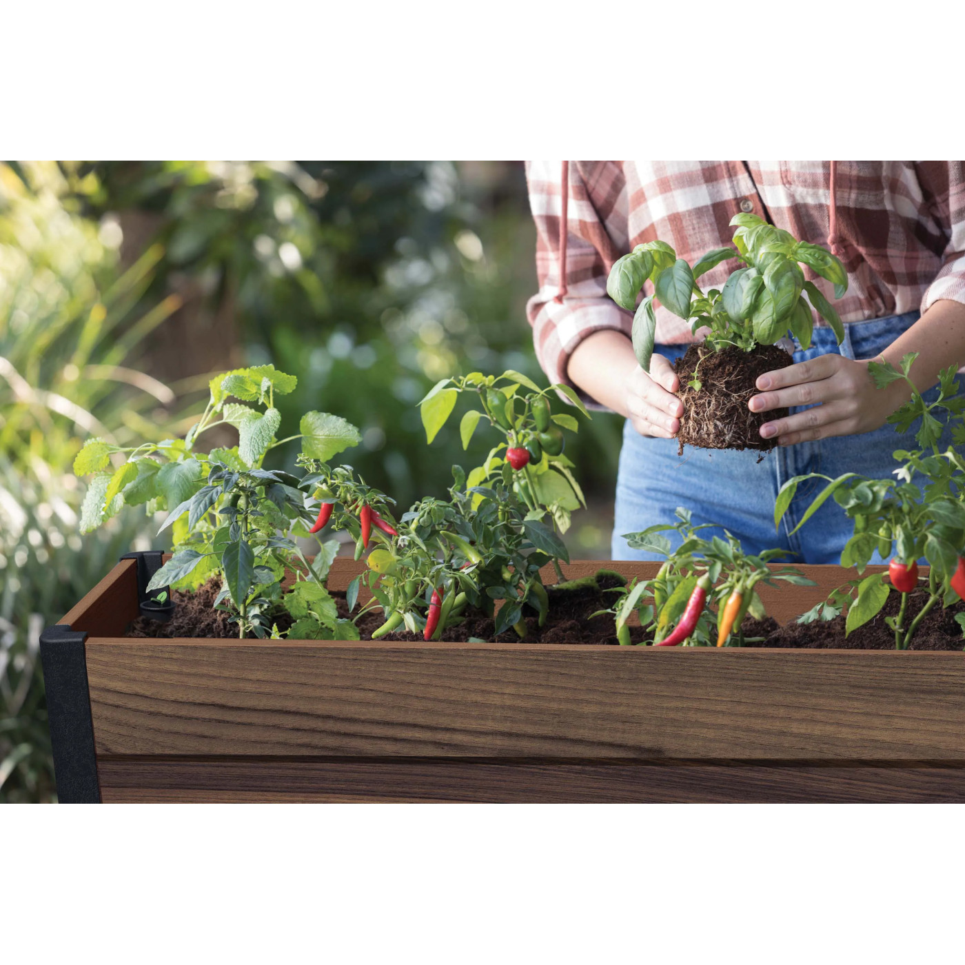 DECO WALNUT CULTIVATION BOX