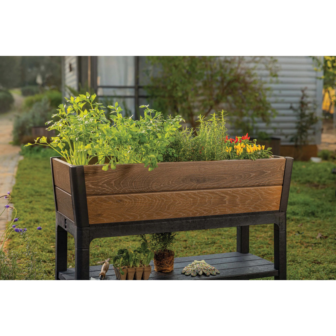 DECO WALNUT CULTIVATION BOX