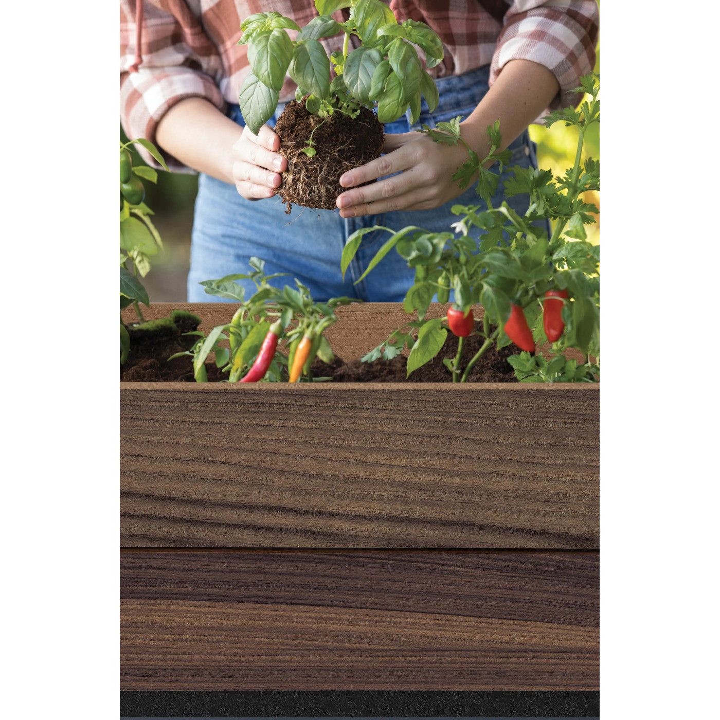 DECO WALNUT CULTIVATION BOX