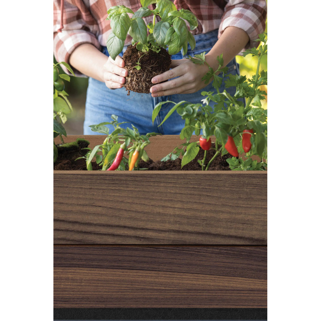 DECO WALNUT CULTIVATION BOX