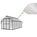 6MM POLYCARBONATE PANELS (SET OF 5) FOR GREENHOUSES 244x489