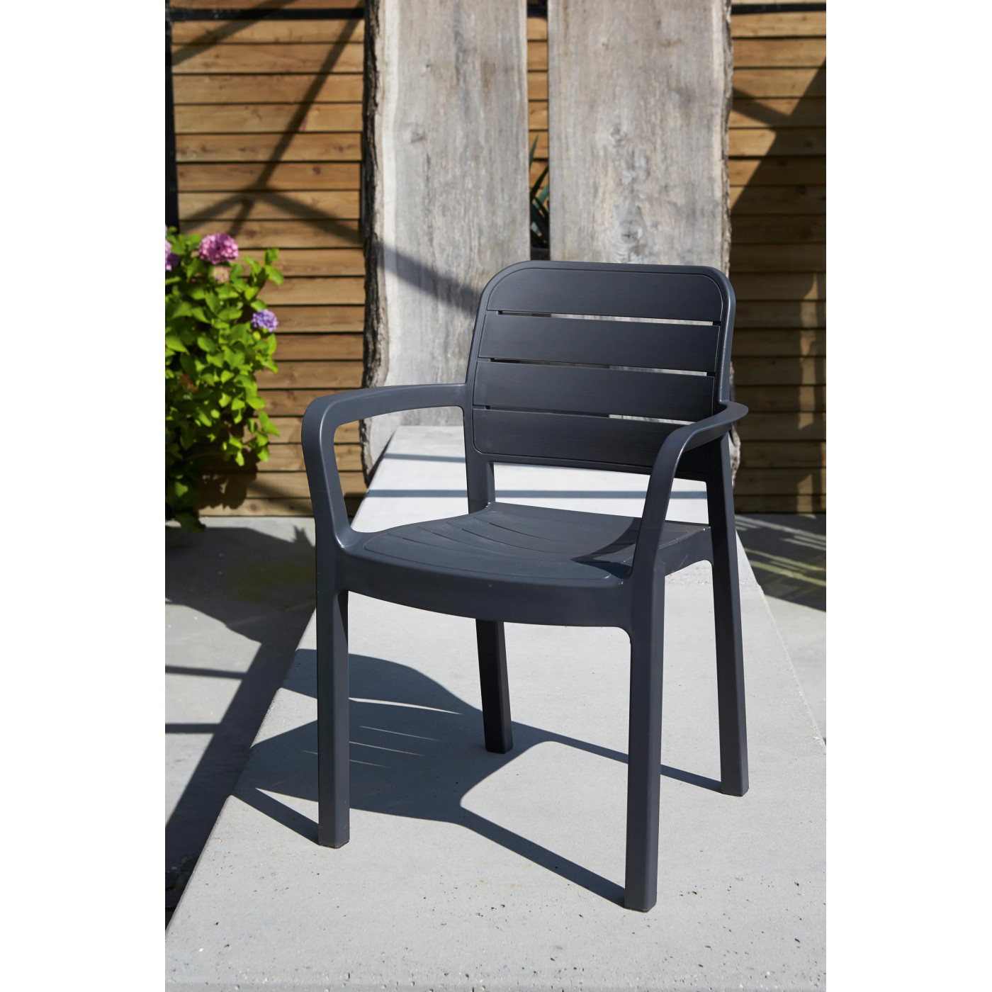 TISARA GRAPHITE CHAIR