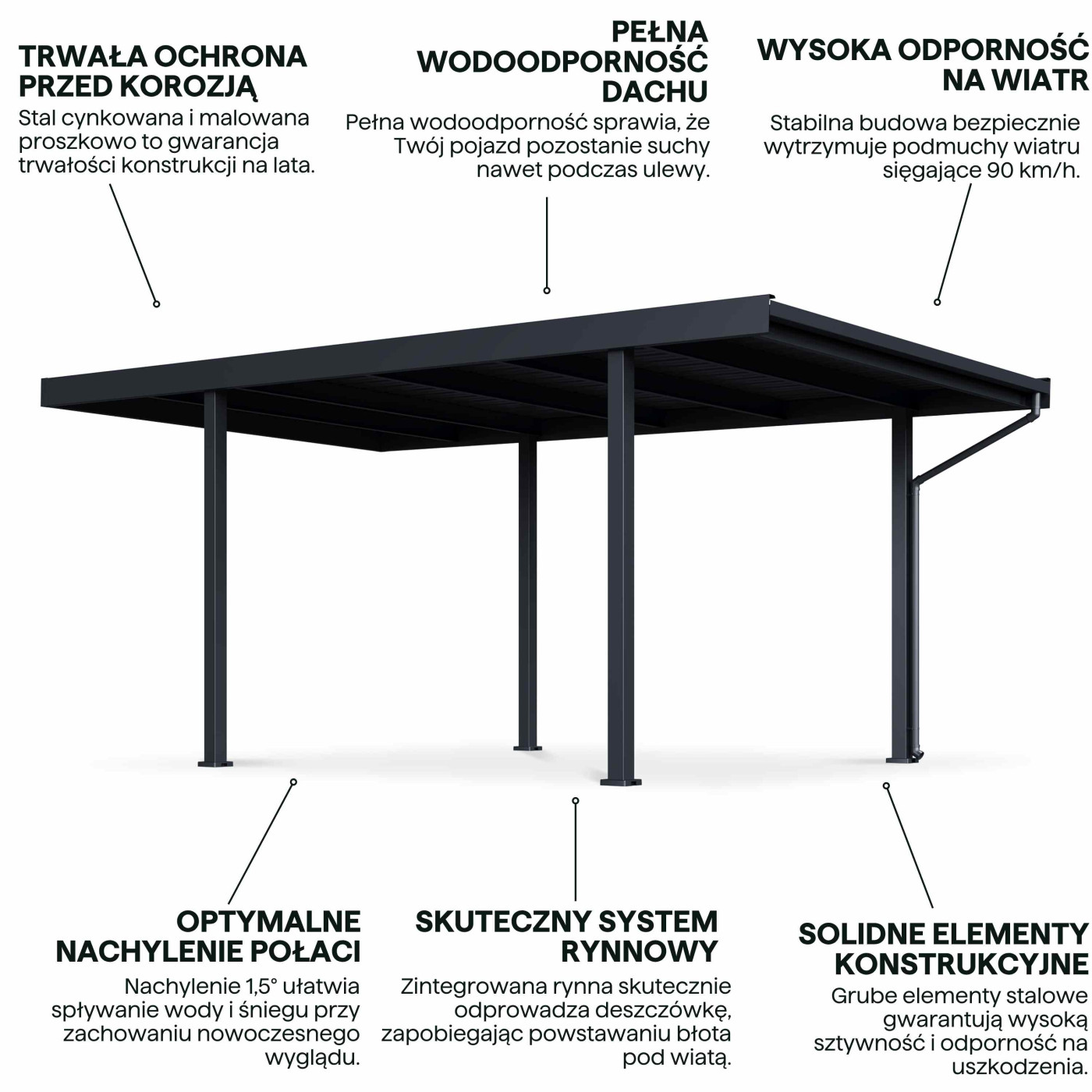 SELECT 3.1x5.5 WIATA ANTHRACITE