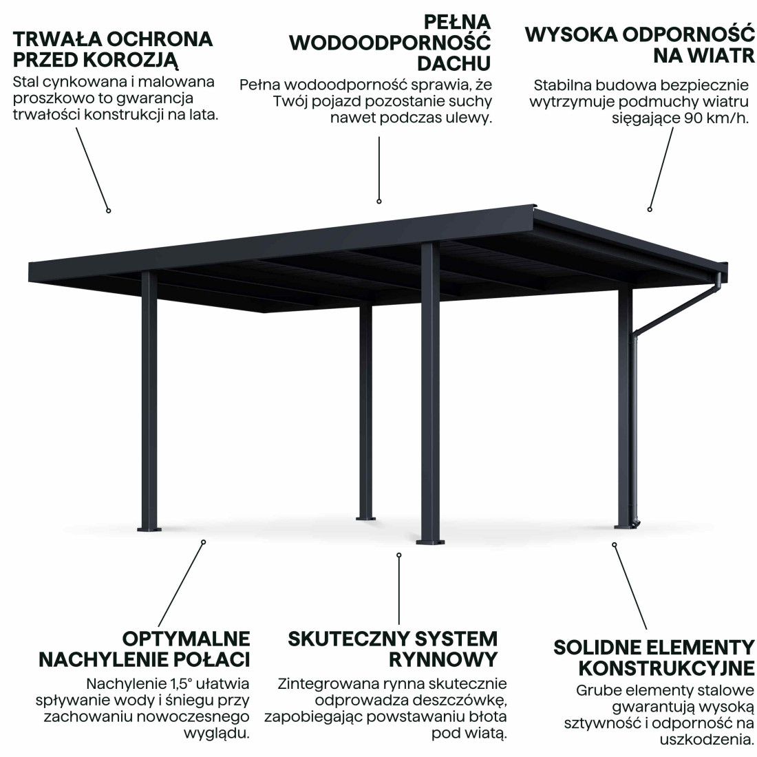 SELECT 3.1x5.5 WIATA ANTHRACITE