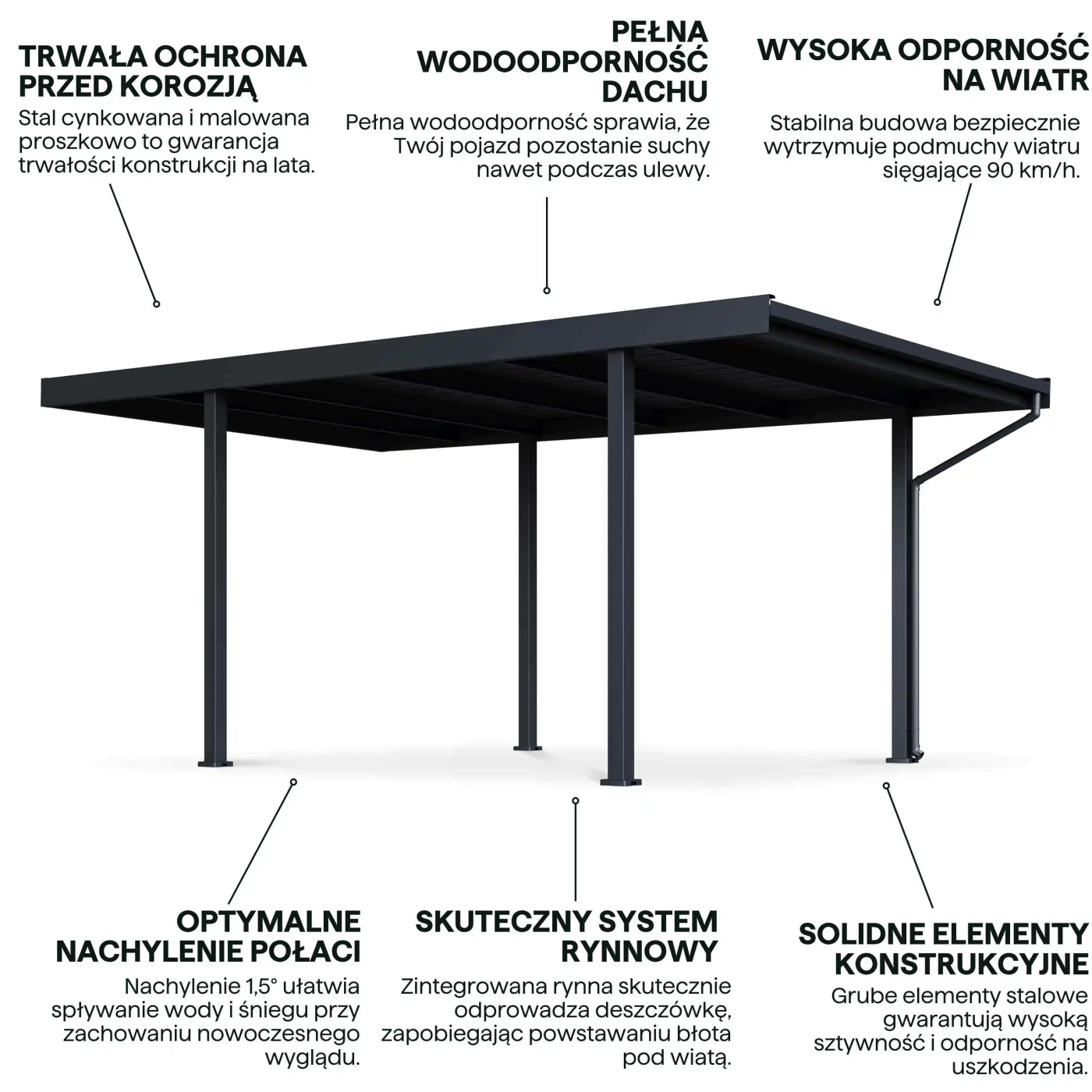 SELECT 3.1x5.5 WIATA ANTHRACITE
